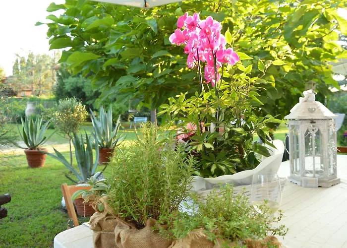 Bed & Tours Dimora Di Campagna