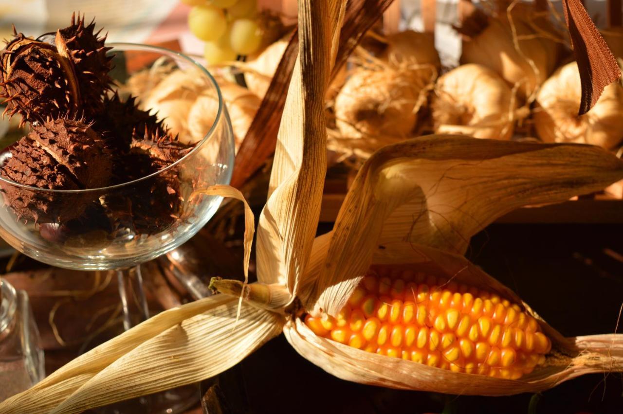 Bed & Tours Dimora Di Campagna Bed & Breakfast 3*