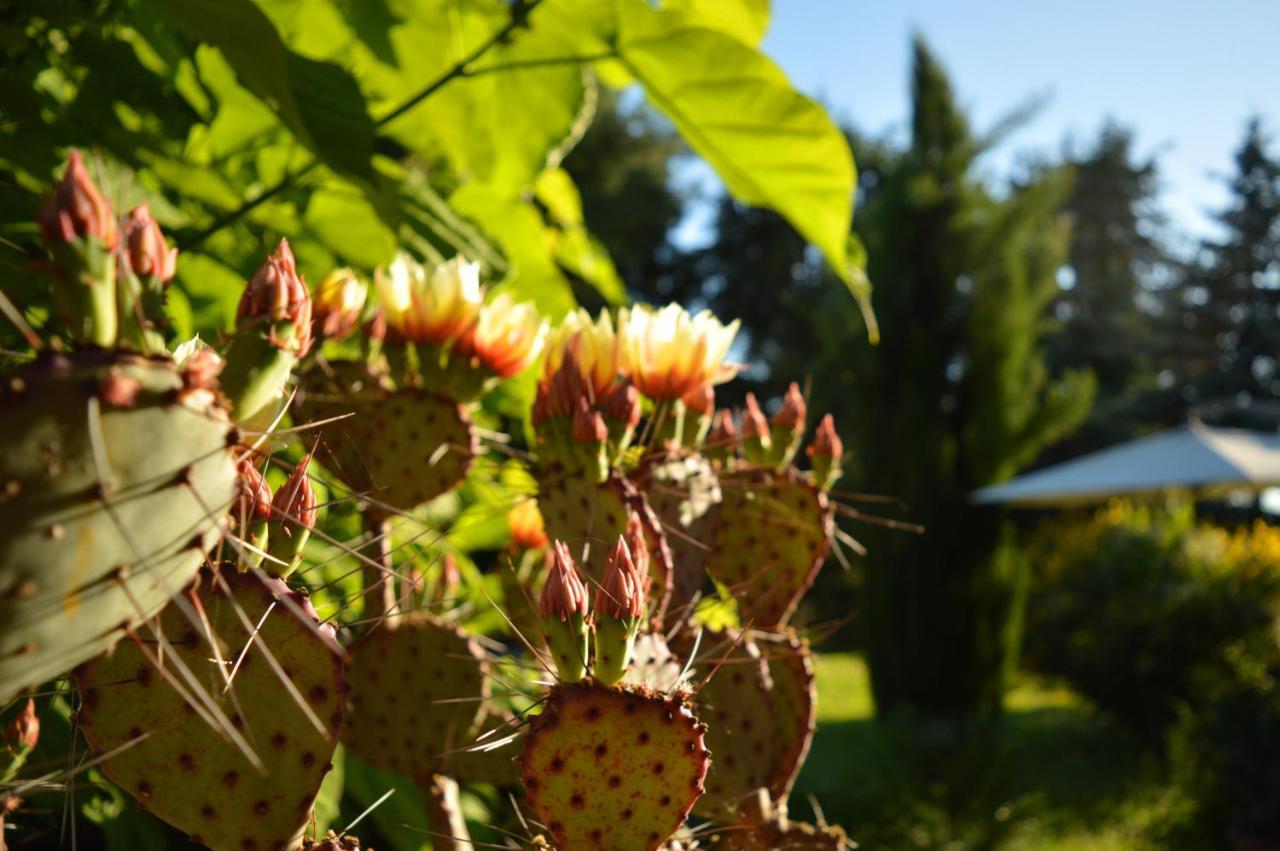 Bed & Tours Dimora Di Campagna 3*