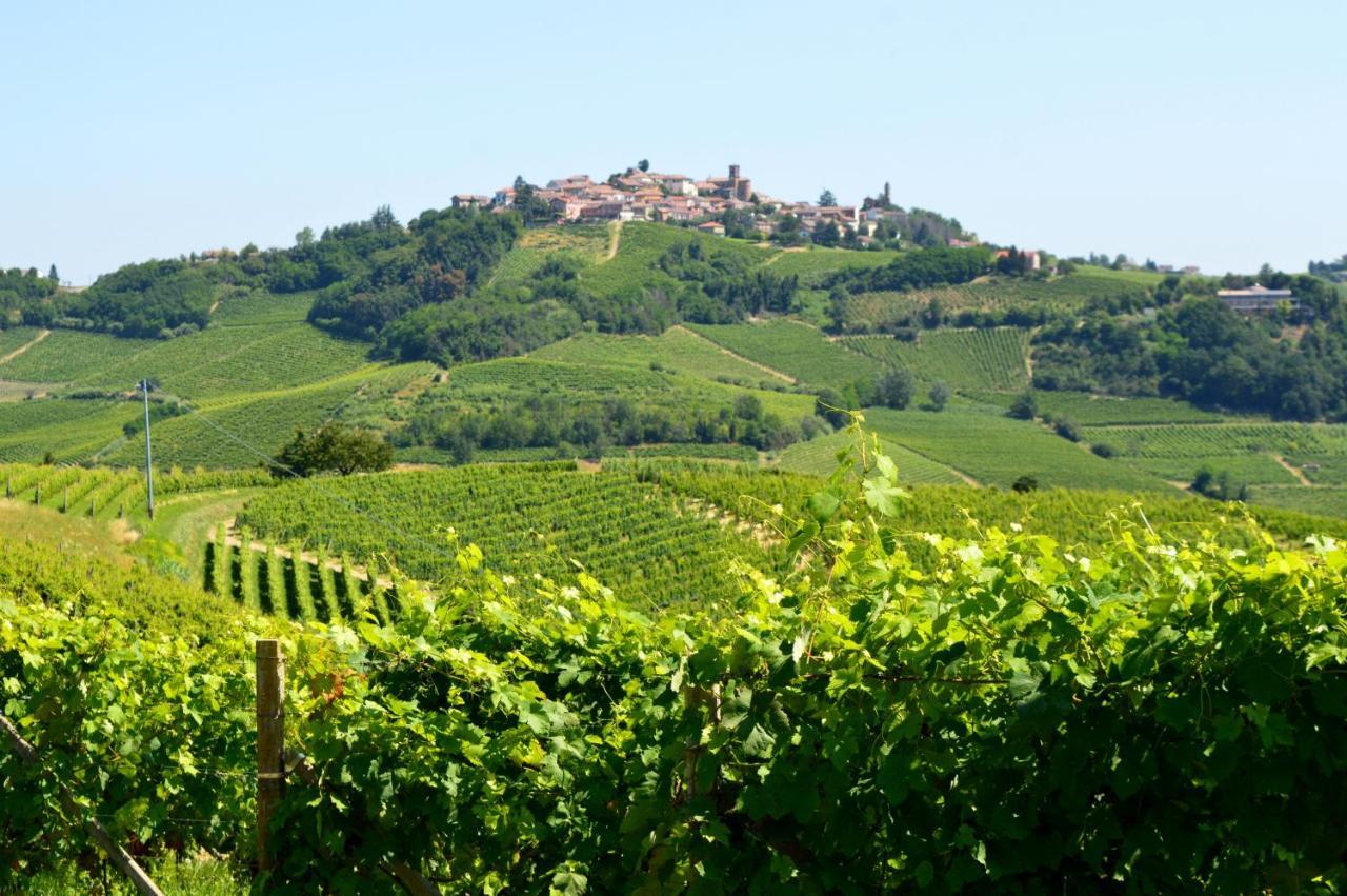 Bed & Tours Dimora Di Campagna Bed & Breakfast Castelnuovo Belbo