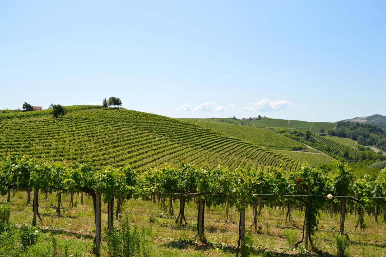 Bed & Tours Dimora Di Campagna Bed & Breakfast