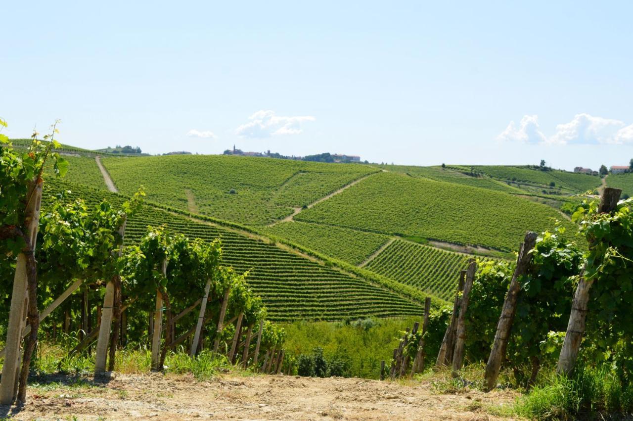 Bed & Breakfast Bed & Tours Dimora Di Campagna 3*