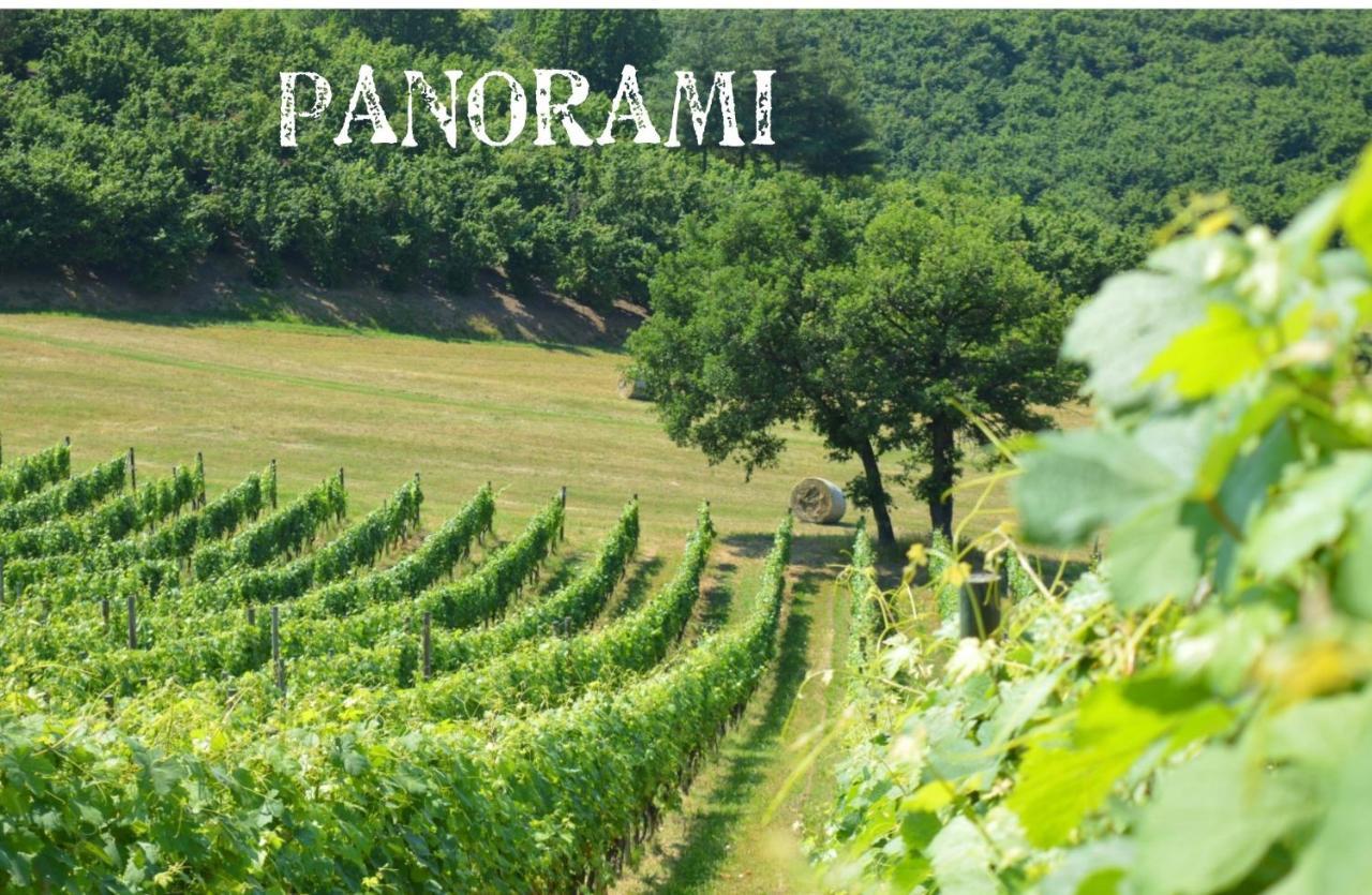 Bed & Tours Dimora Di Campagna 3*