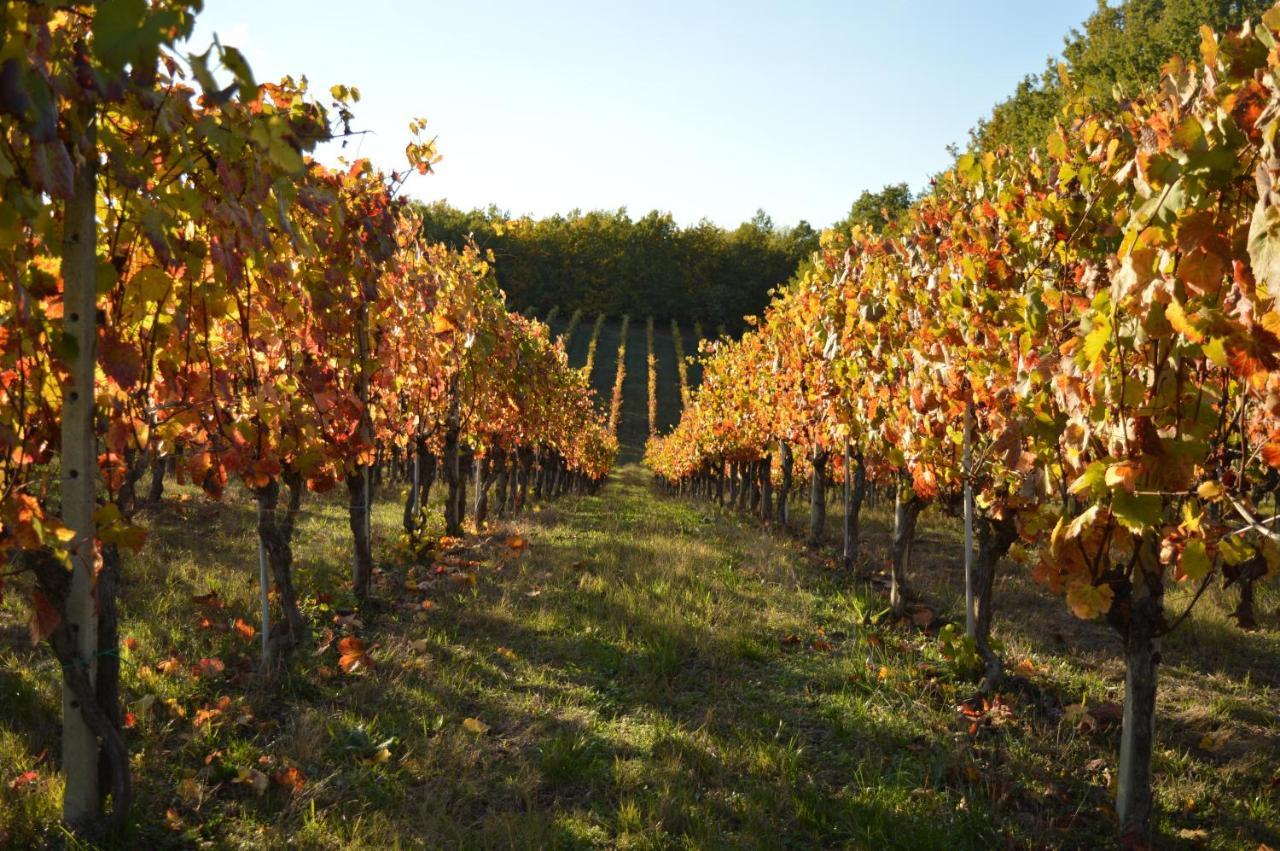 Bed & Breakfast Bed & Tours Dimora Di Campagna 3*