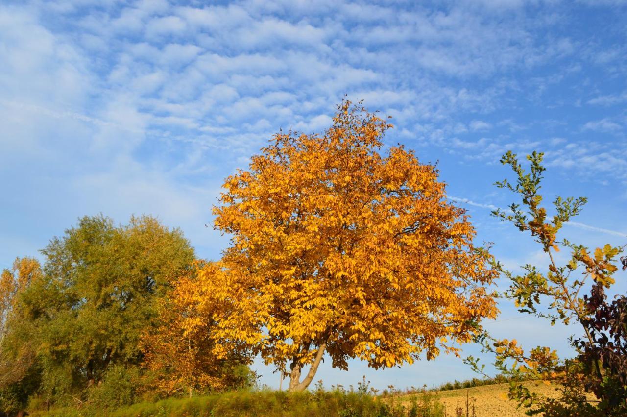 Bed & Tours Dimora Di Campagna
