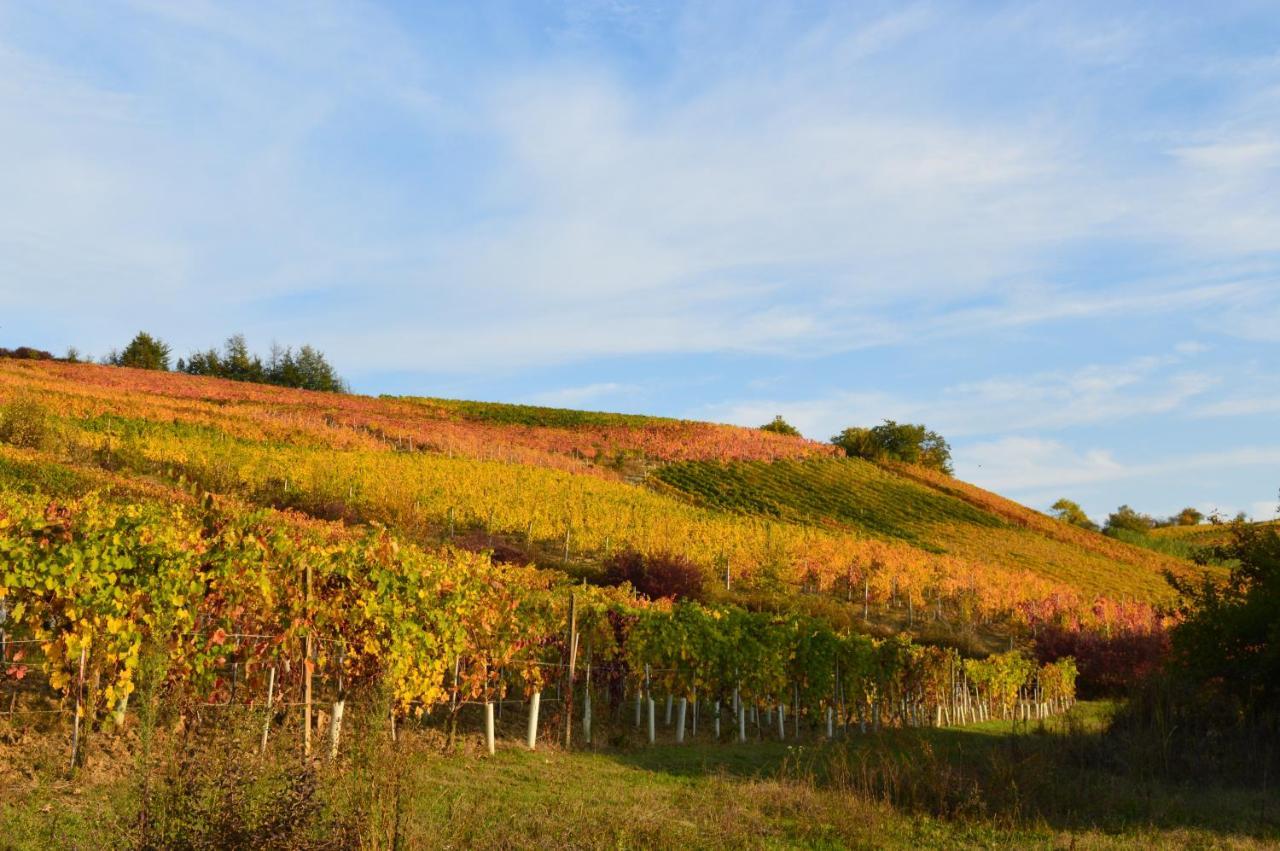 Bed & Tours Dimora Di Campagna