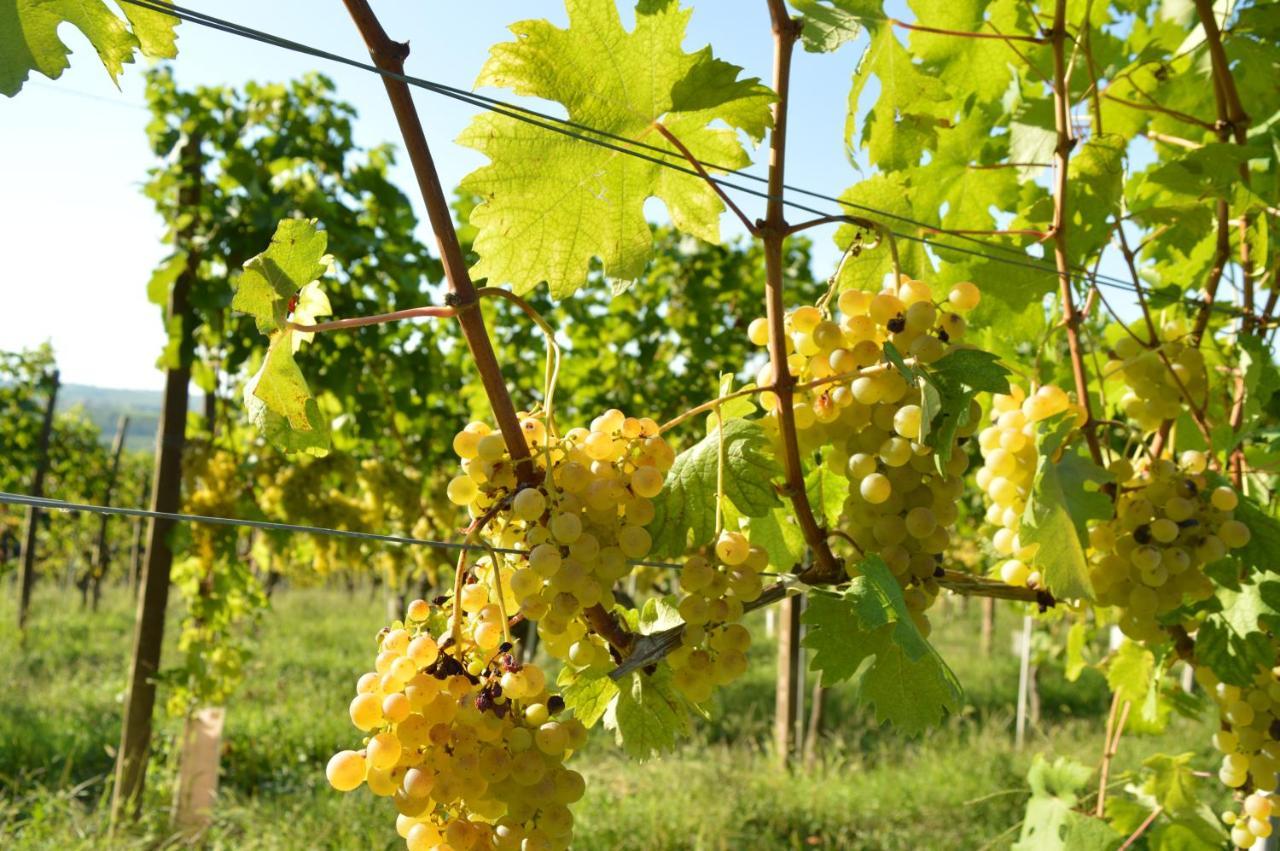 Bed & Tours Dimora Di Campagna Bed & Breakfast 3*