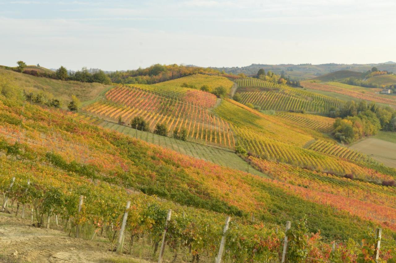 Bed & Breakfast Bed & Tours Dimora Di Campagna Castelnuovo Belbo