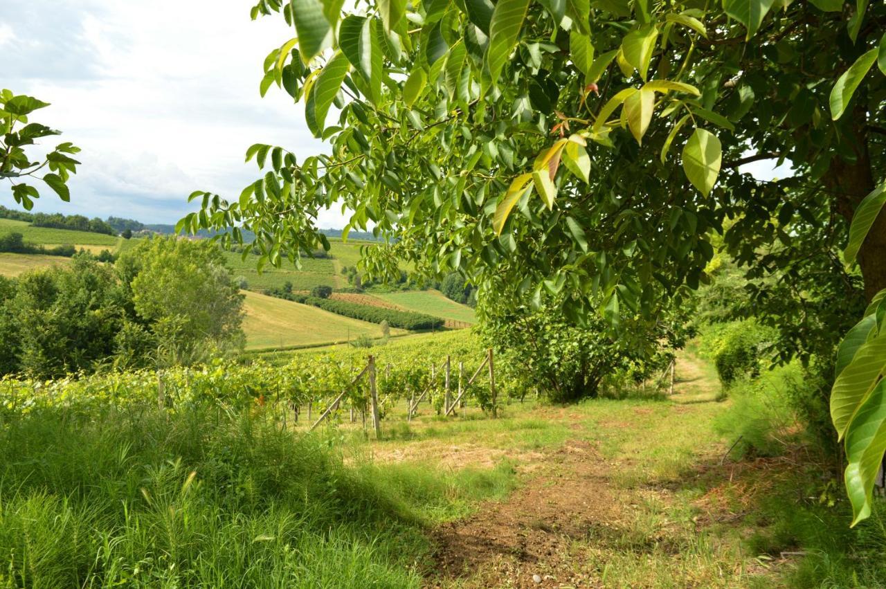 Bed & Tours Dimora Di Campagna Bed & Breakfast Castelnuovo Belbo