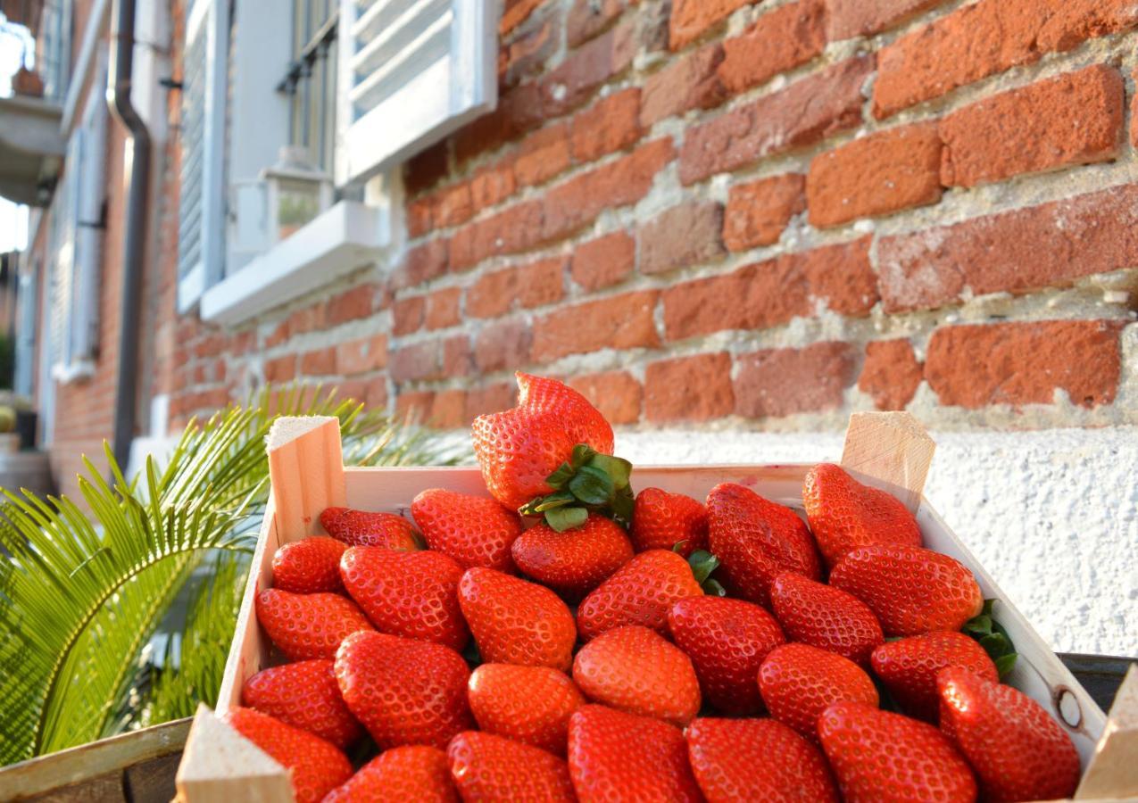 Alojamento de Acomodação e Pequeno-almoço Bed & Tours Dimora Di Campagna Castelnuovo Belbo