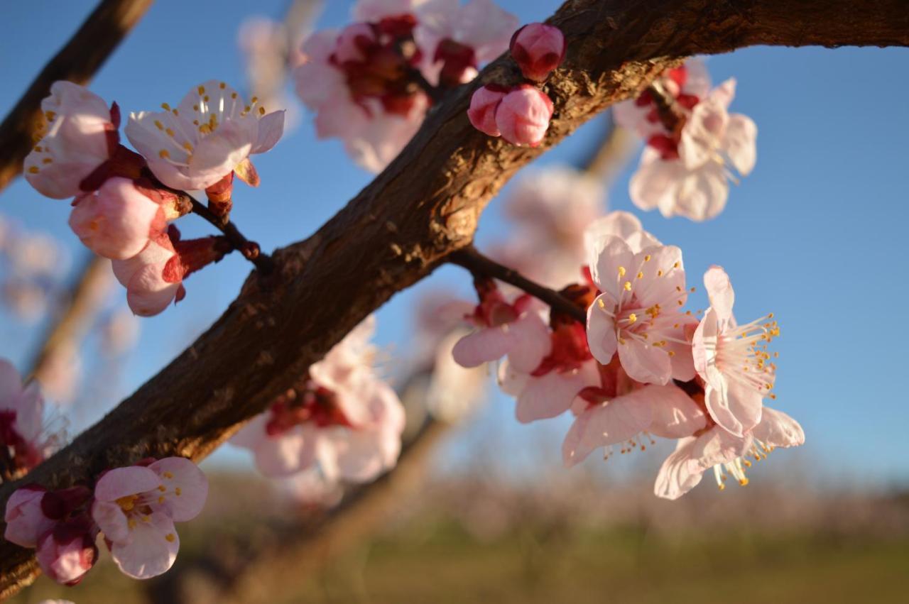Bed & Breakfast Bed & Tours Dimora Di Campagna
