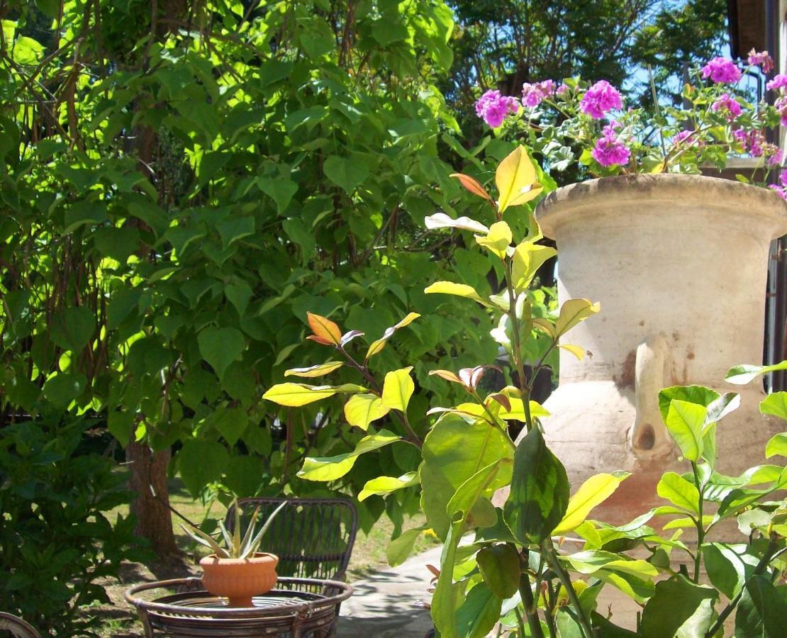 Bed & Tours Dimora Di Campagna 3* Castelnuovo Belbo
